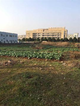 芜湖县湾沚镇城南电信机房以东、南湖路以北国有建设用地使用权拍卖交易公告