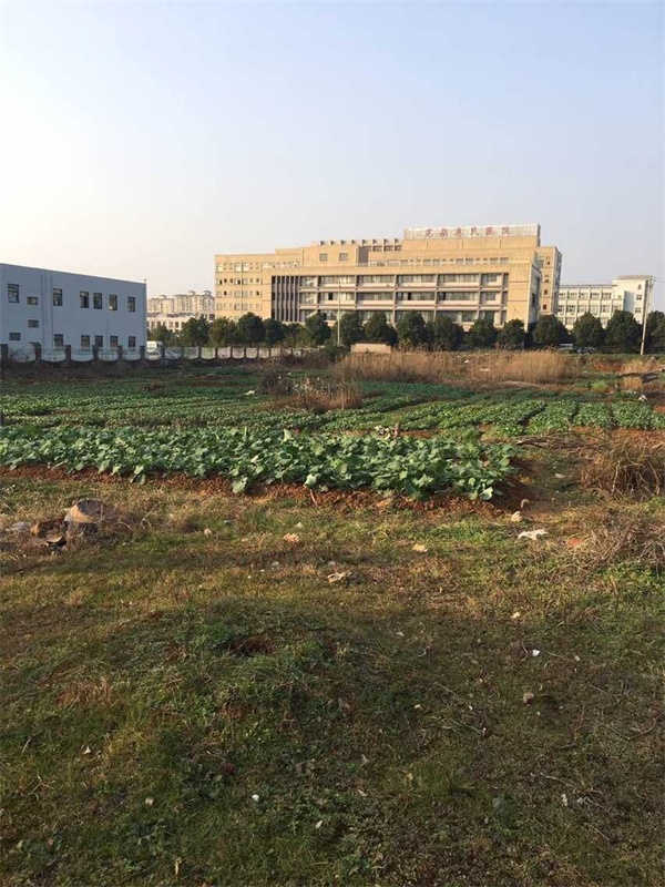 芜湖县湾沚镇城南电信机房以东、南湖路以北国有建设用地使用权拍卖交易公告