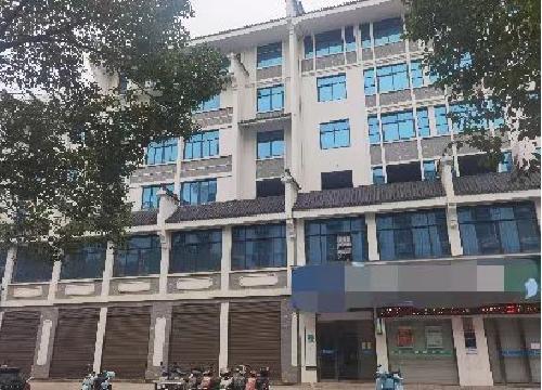 （L23-17）义乌佛堂镇渡磬北路113、115号房产公开出让