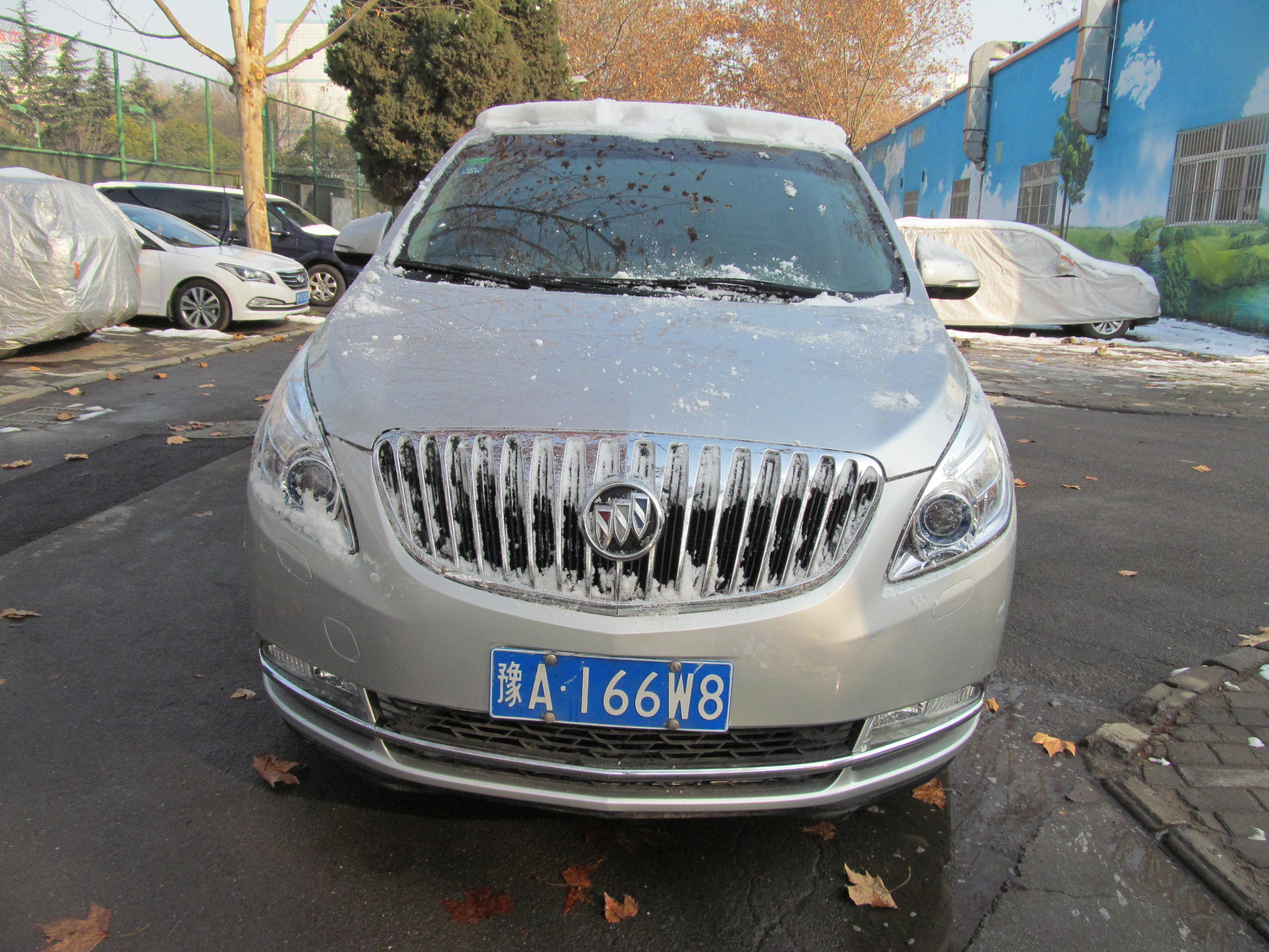 河南农大桃李园大酒店有限公司 别克牌sgm6521ata 豫a166w8 一台交易