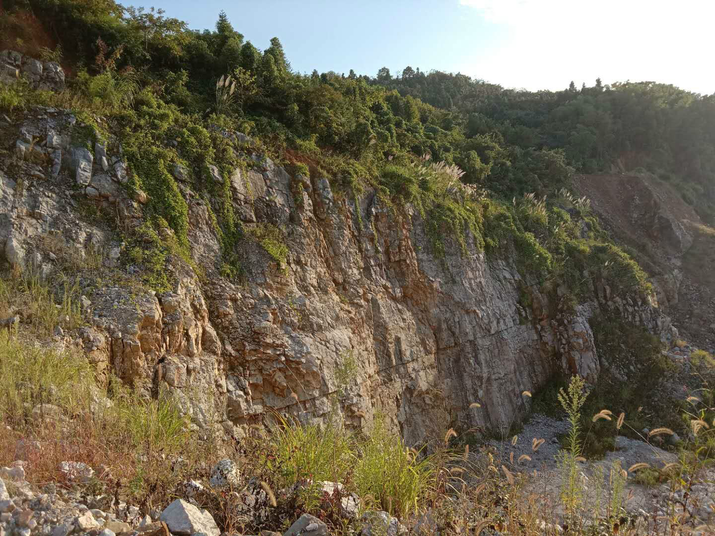 青阳县九华五矿公司黄山石灰石矿采场南侧边坡安全隐患治理过程中产生的矿石资源（界外部分）转让公告