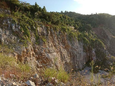 青阳县九华五矿公司黄山石灰石矿采场南侧边坡安全隐患治理过程中产生的矿石资源（界外部分）转让公告