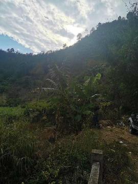 那坡县百都水电站扩建增容项目资产整体转让项目资产交易公告