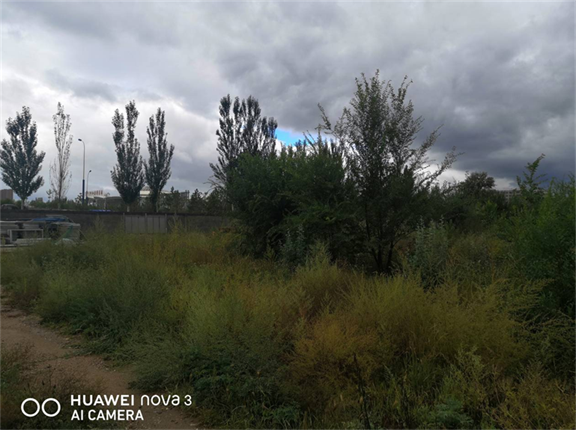 蒙（2021）呼和浩特市不动产权第0177440号城镇住宅用地使用权转让交易公告