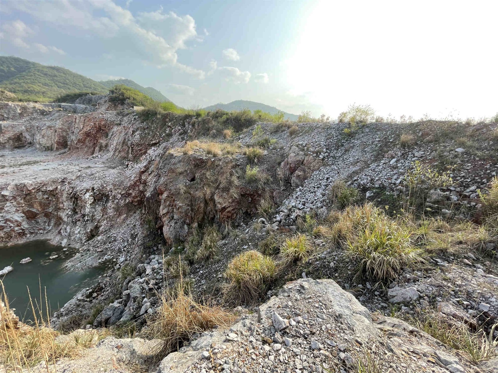 安徽省元进来龙矿业有限公司棉花型矿区白水泥用石灰岩矿矿山地质环境治理工程产生的剩余土石料转让公告