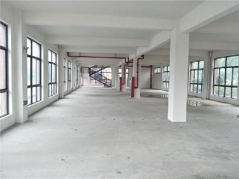 常州市经开区丁塘河湿地公园北面第二艘龙舟招租公告