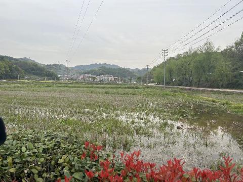 大陈镇众拥村土地流转