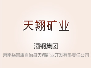 肃南裕固族自治县天翔矿业开发有限责任公司100%股权转让预披露公告（预披露）
