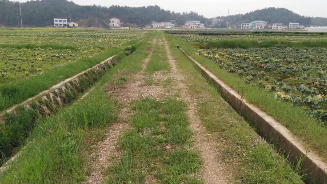 基于自然的解决方案助力碳中和