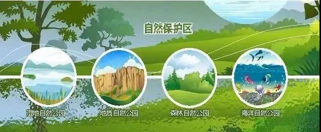 “国土空间碳排放核算系统”解析