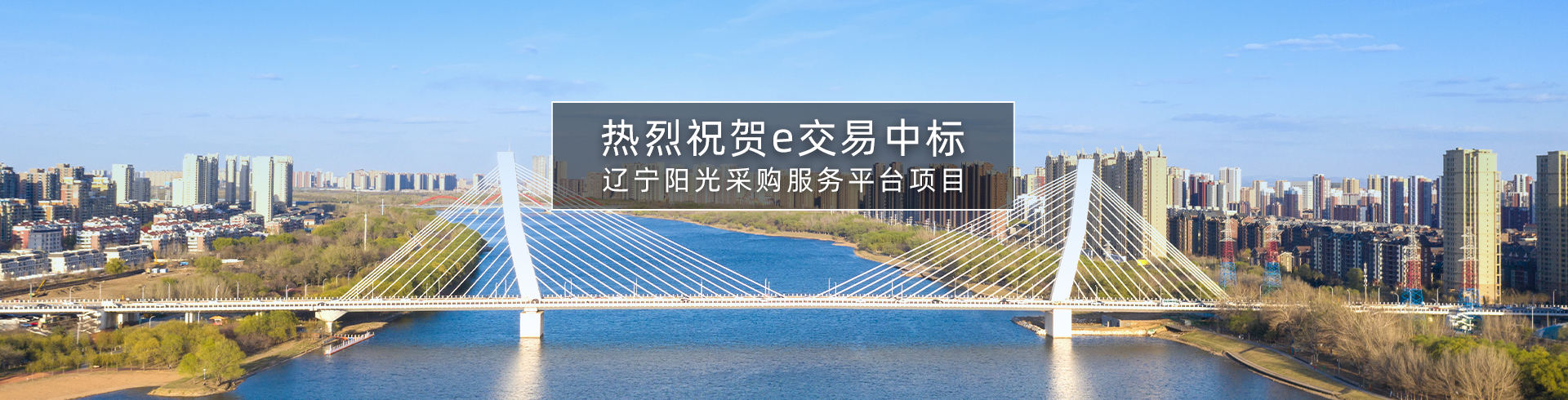 e交易中标辽宁阳光采购服务平台项目