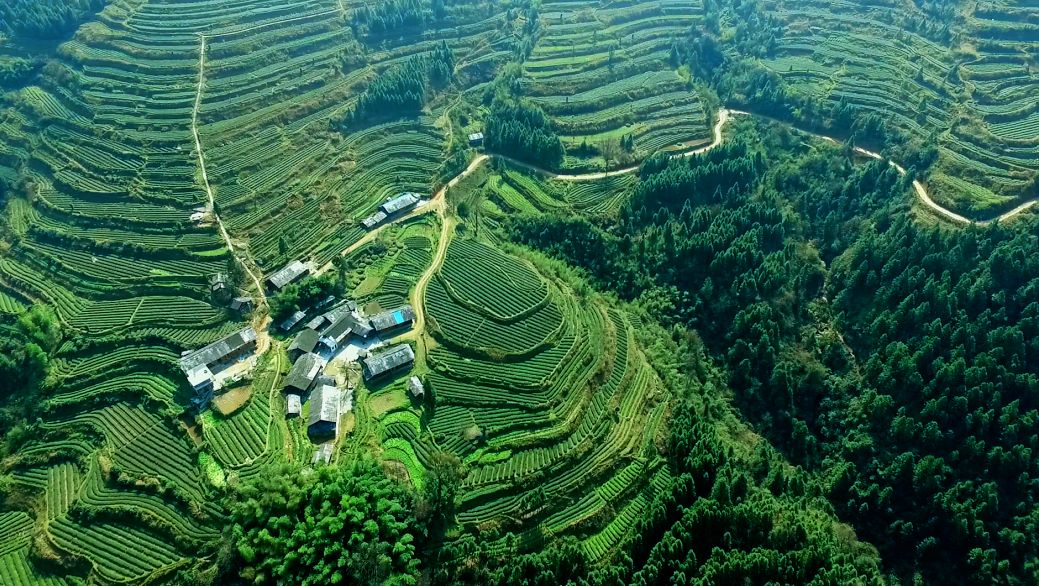 盘活农村集体资产 激发乡村振兴活力 ——临夏州首宗农村集体资产成功转让