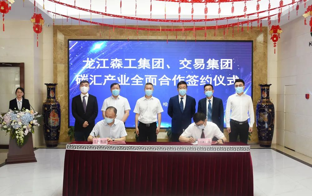 黑龙江省首单线上碳汇交易业务成交 交易集团与龙江森工集团碳汇产业合作正式启动