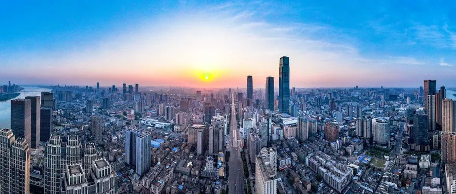 国家知识产权局邀请全国人大代表开展重点督办建议专题调研