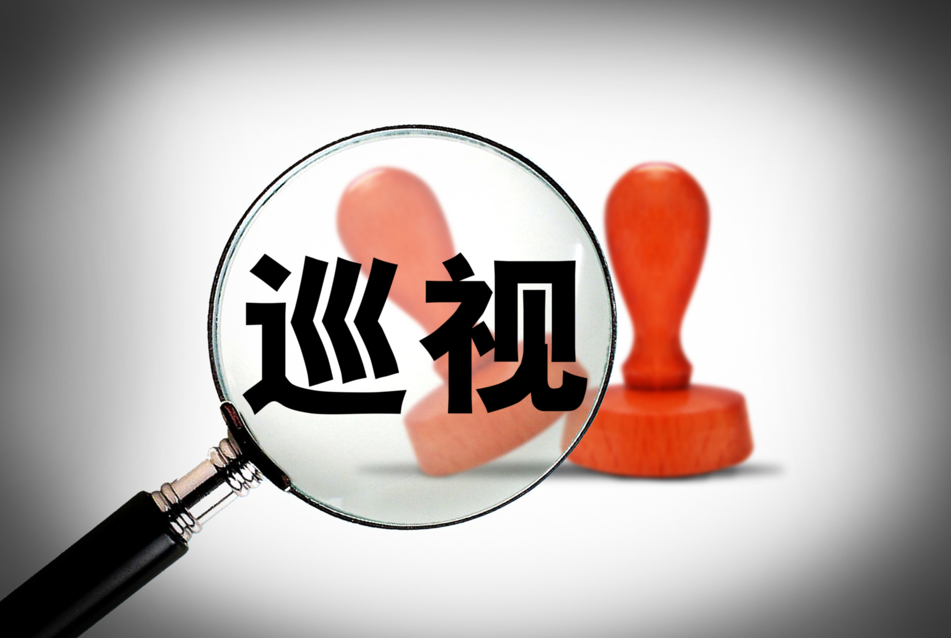 中纪委：将此类国有资产管理纳入巡察监督重点清单