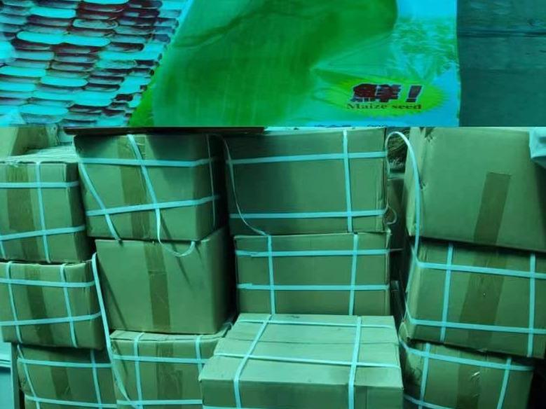 玉米种子跨省圆满交易——甘肃省产权交易所集团再显多元化资产处置实力