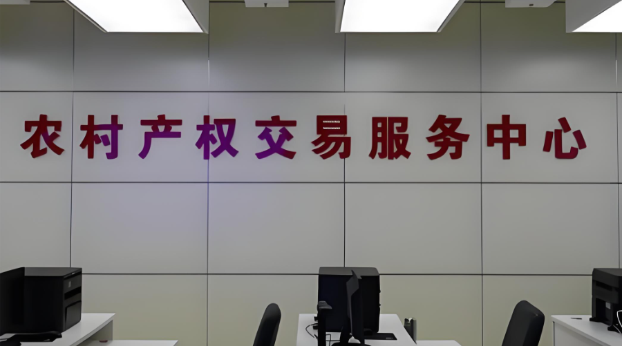 【e报道】山东临工“红色情”行动精准创富感恩蒙阴