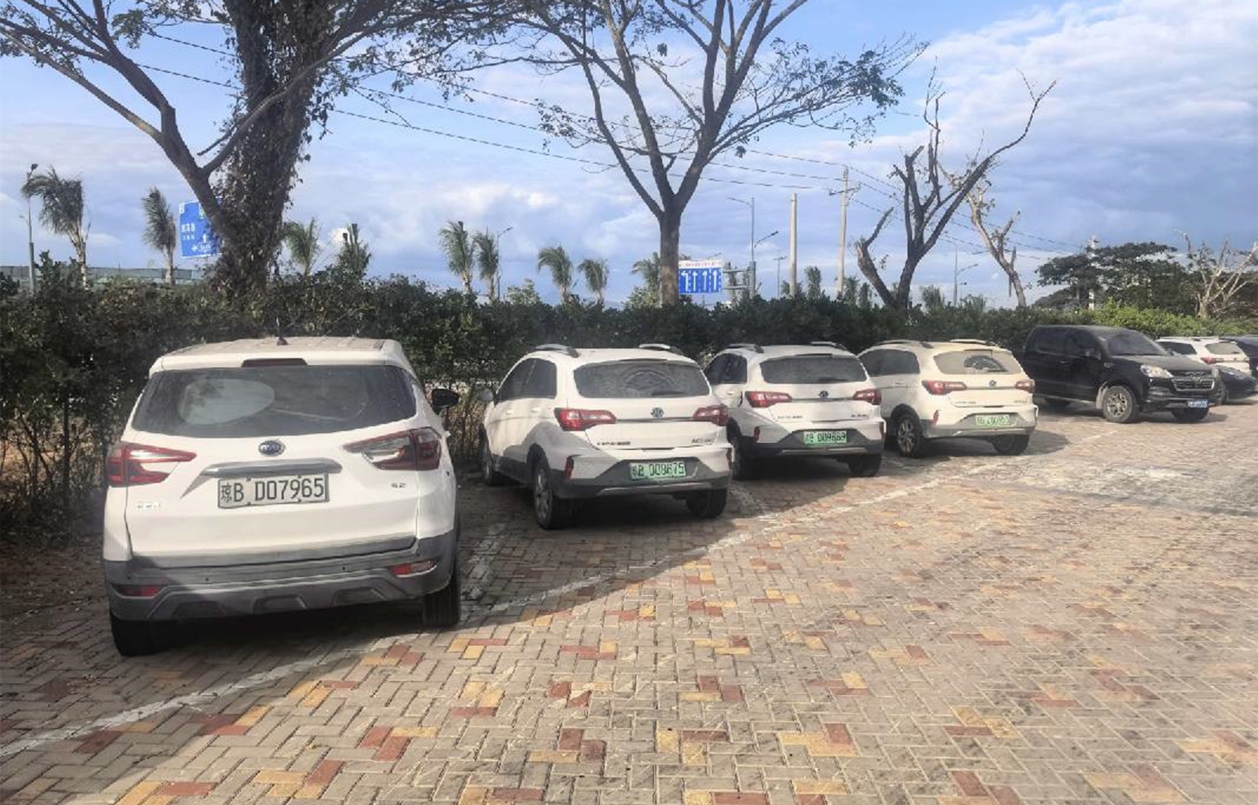 高效流转显活力,海南产权交易所成功完成24辆新能源二手车转让